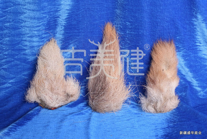 新疆昌吉華盛商貿(mào)馬鹿尾